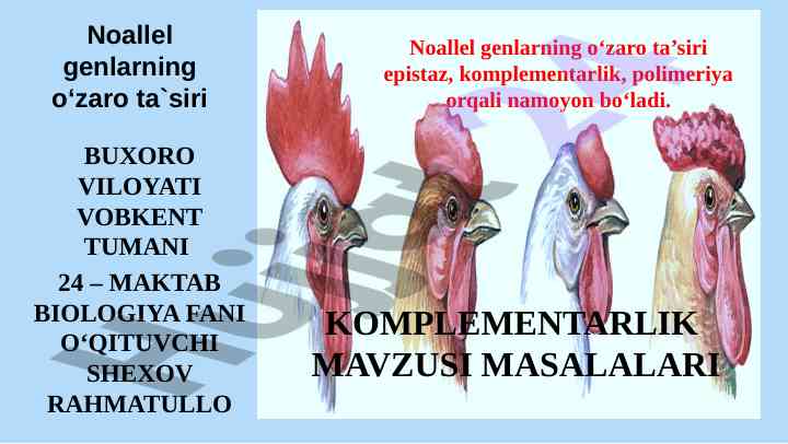 Noallel genlarning o‘zaro ta`siri va komplementarlik