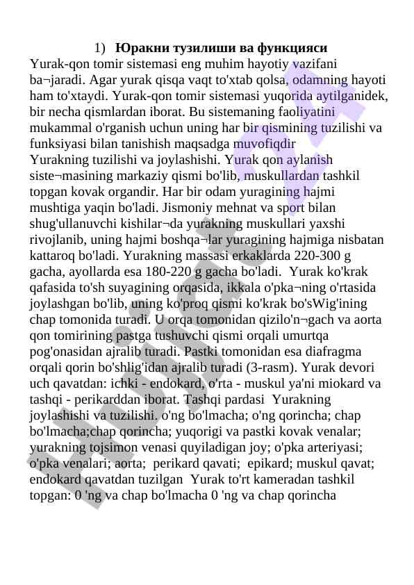 Yurak tuzilishi va funksiyasi muskuliy organdir