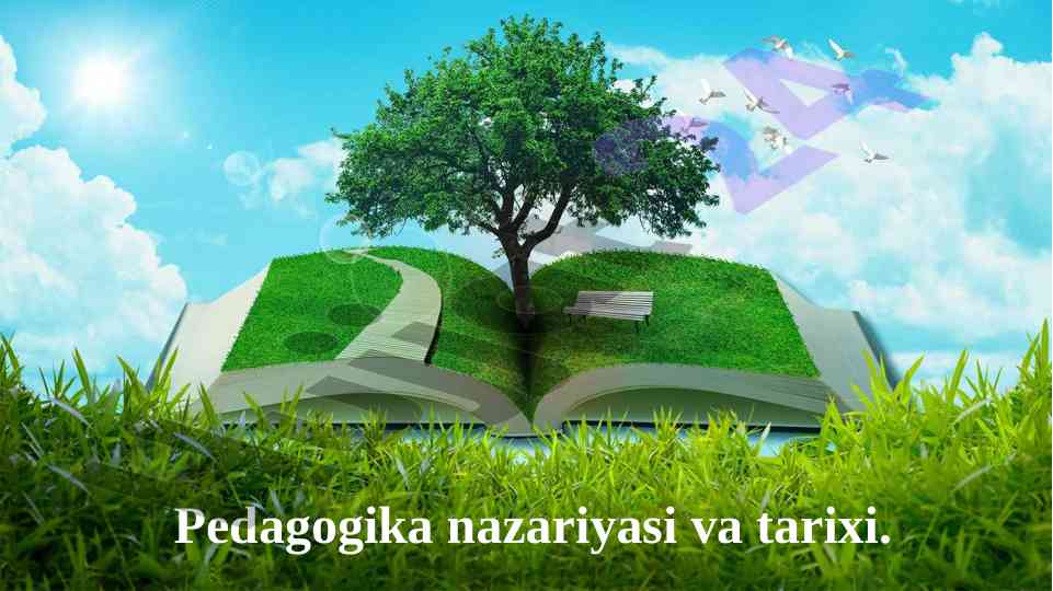 O‘quvchilarning bilim ko‘nikma tashxisi jarayoni