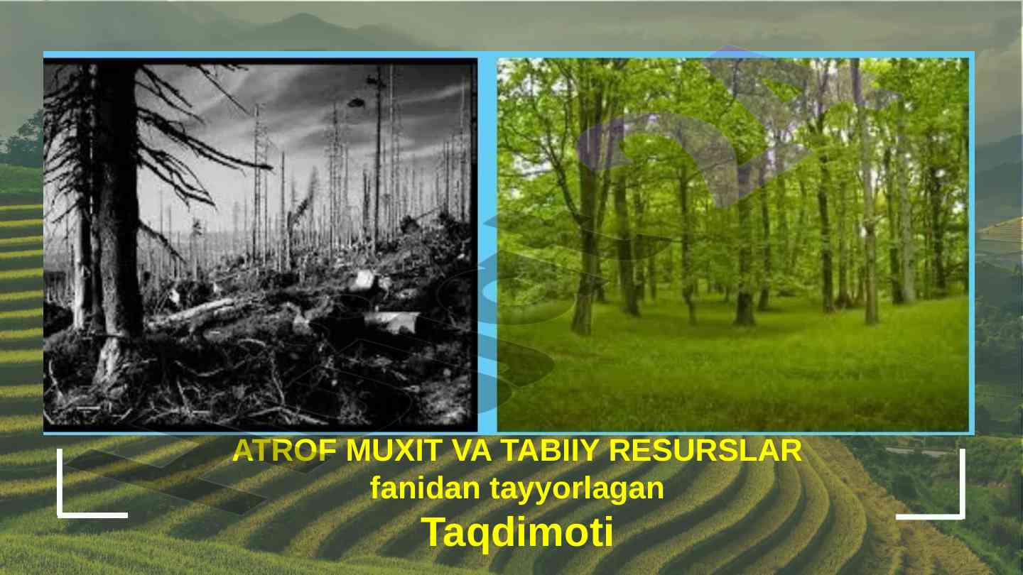 Ifloslantirish manbalarini aniqlash va tahlil qilish