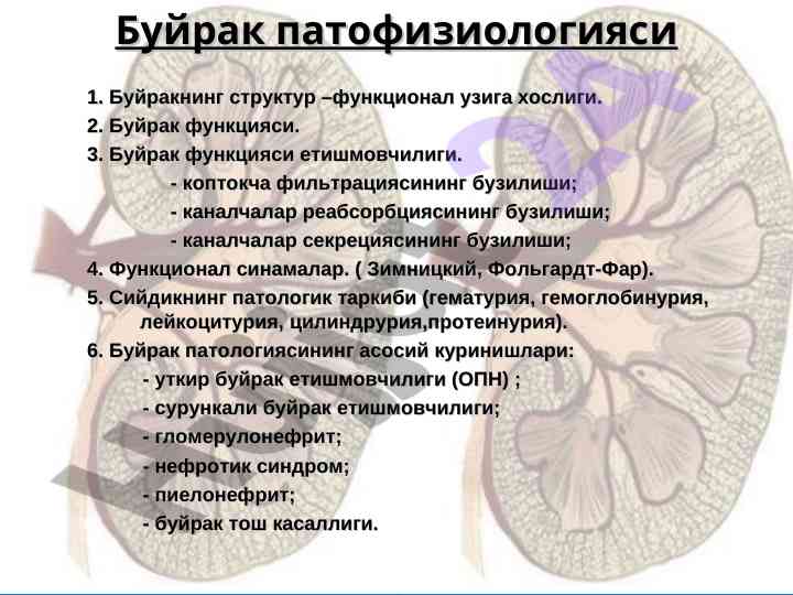 Bujrak patofiziologiyasi asosiy muammolari