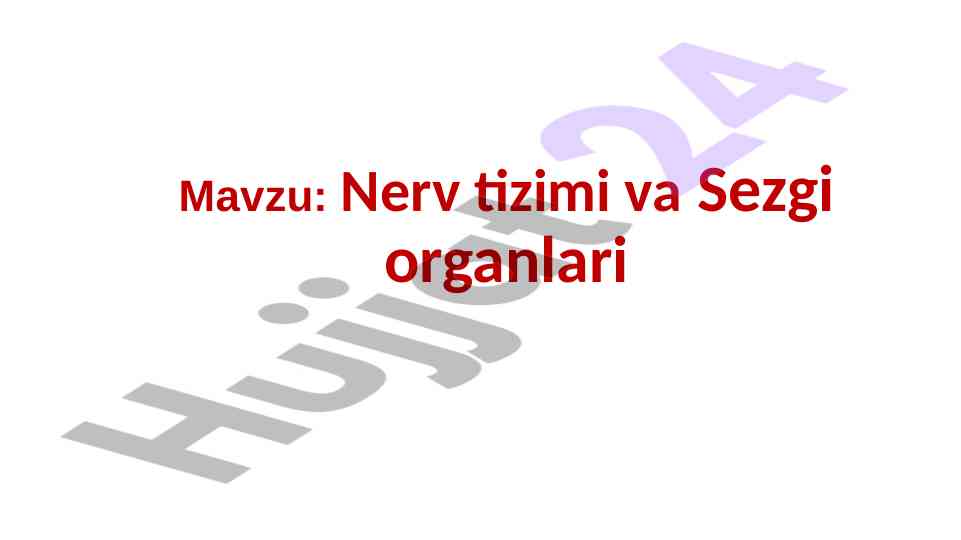 Nerv tizimi va sezgi organlari asosiy tamoyillari