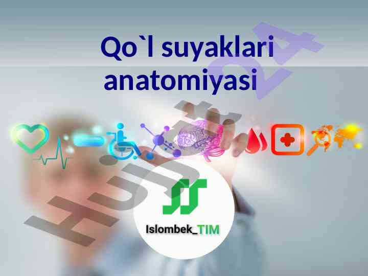 Qo'l suyaklari anatomiyasi