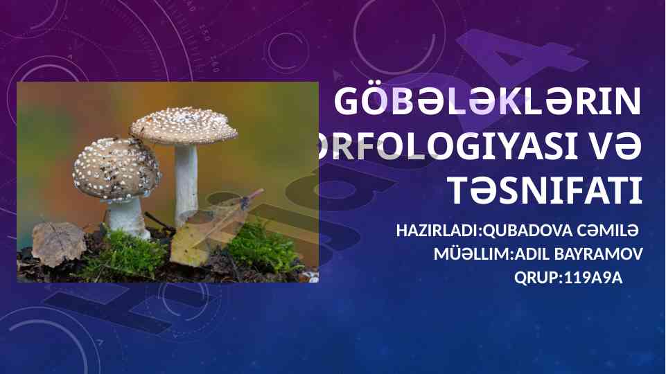 Göbələklərin morfologiyası və təsnifatı