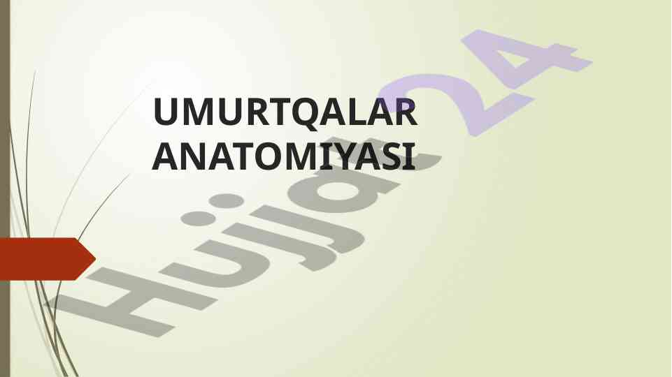 Umurtqalar anatomiyasi va klassifikatsiyasi
