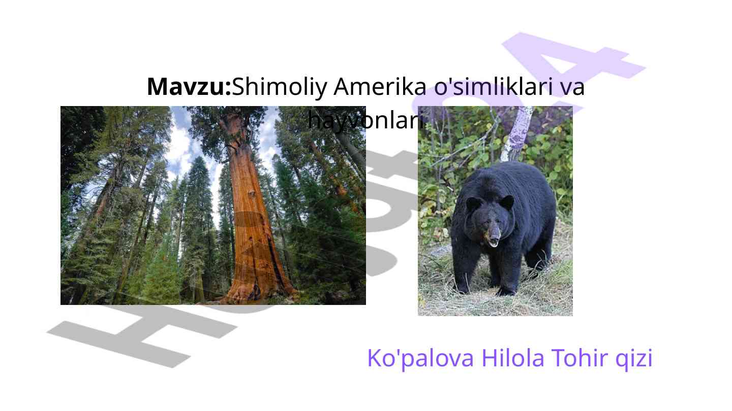 Shimoliy amerika o'simliklari va hayvonlari tahlili
