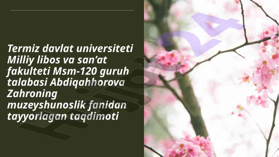 Muzeyshunoslik fanining maqsad va vazifalari