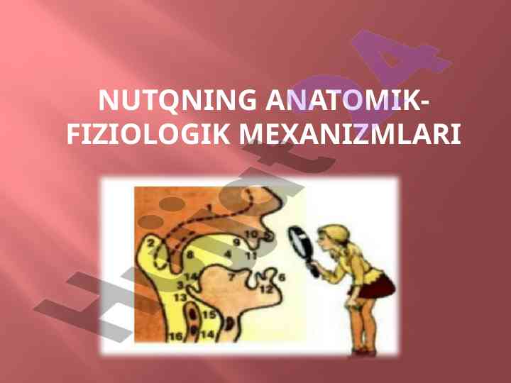 Nutqning anatomik-fiziologik mexanizmlari