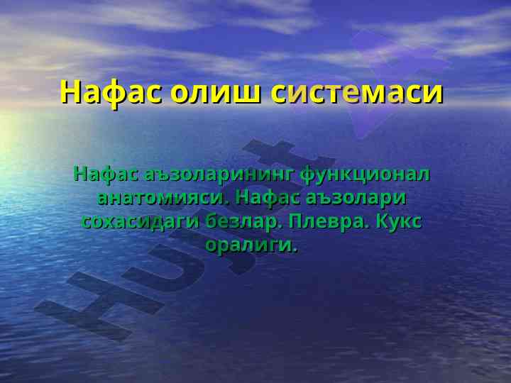 Нафас олиш системасининг анатомияси ва функциялари