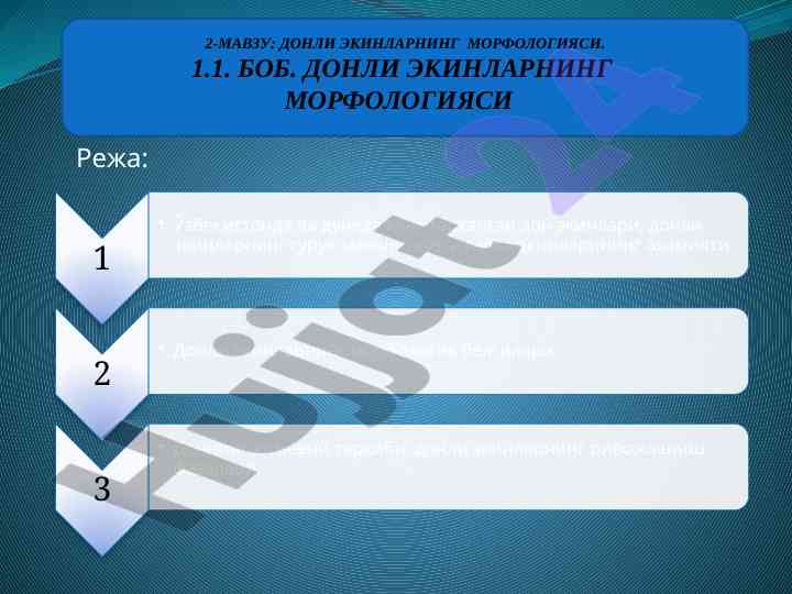 Donli ekinlarning morfologiyasi tahlili