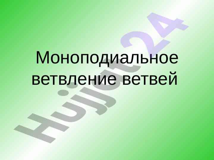 Monopodiальное ветвление ветвей у растений