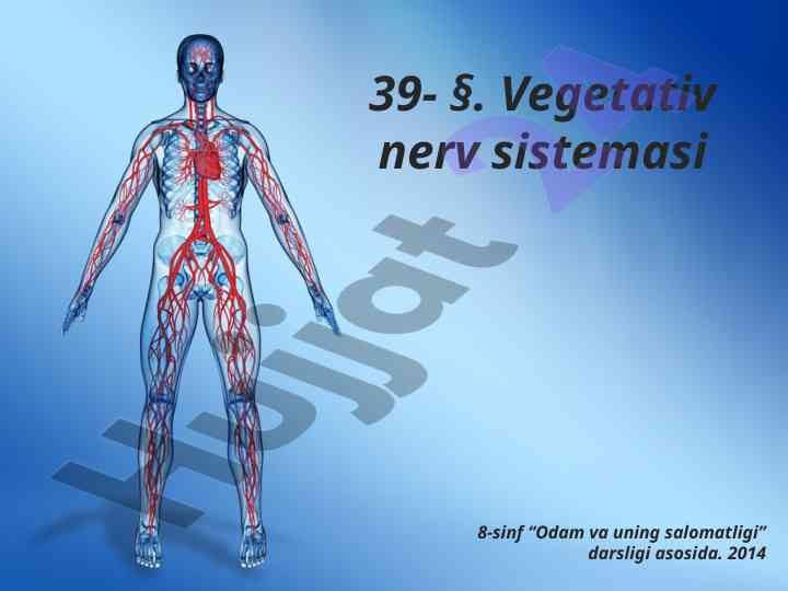 Vegetativ nerv sistemasi va uning xususiyatlari