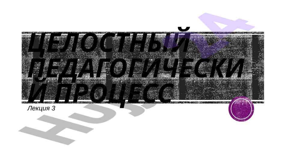 Целостный педагогический процесс лекция 3