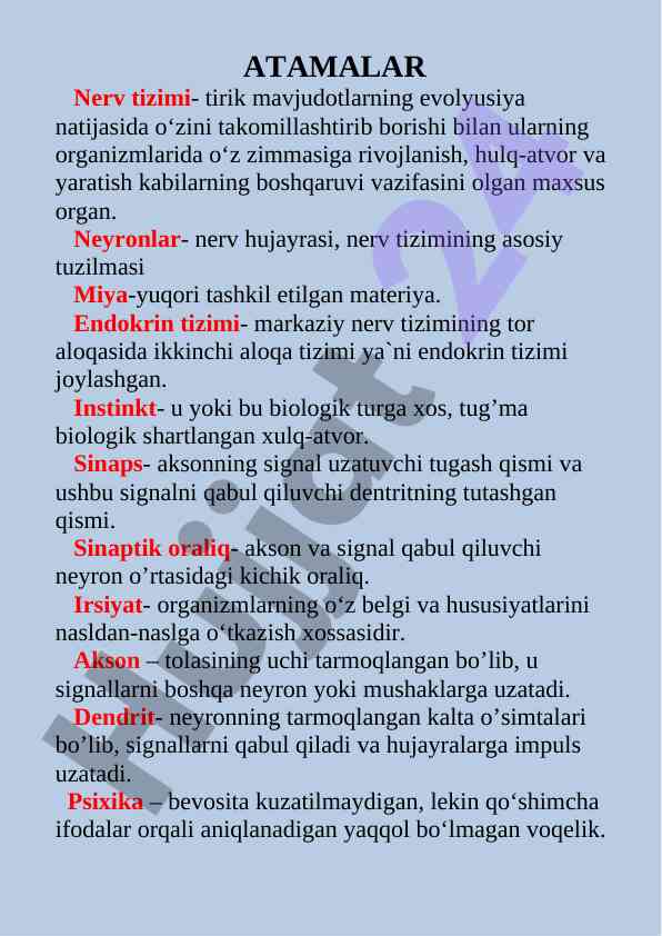 Nerv tizimi va uning tuzilmalari