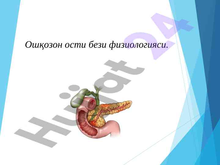 Ошқозон ости бези физиологияси тўғрисида идроклар