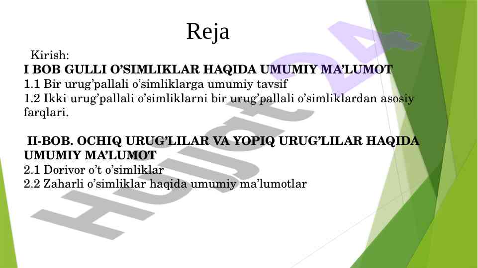 O’t o’simliklar umumiy xarakteristikasi