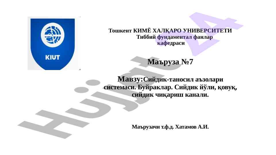 Сийдик-таносил аъзолар системаси маъruzasi