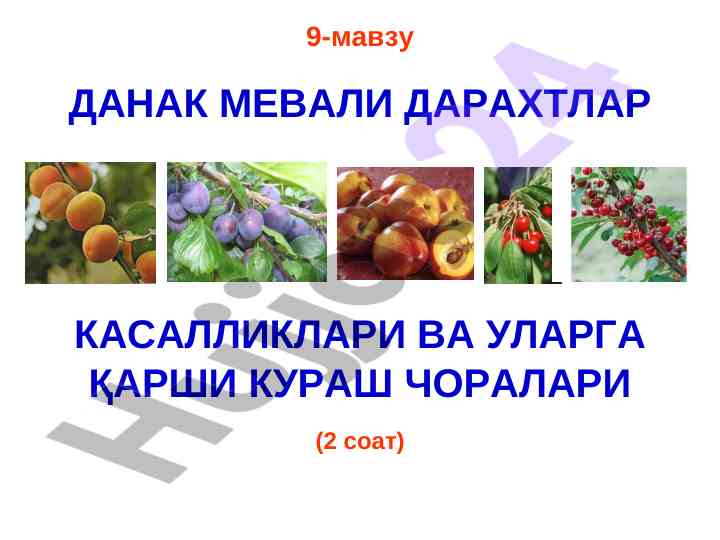Данак мевали дарахтлар касалликлари ваҳ уларнинг чоралари