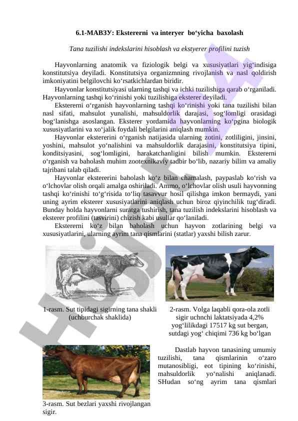 Ekstererni baholash va anatomik tana tuzilishi
