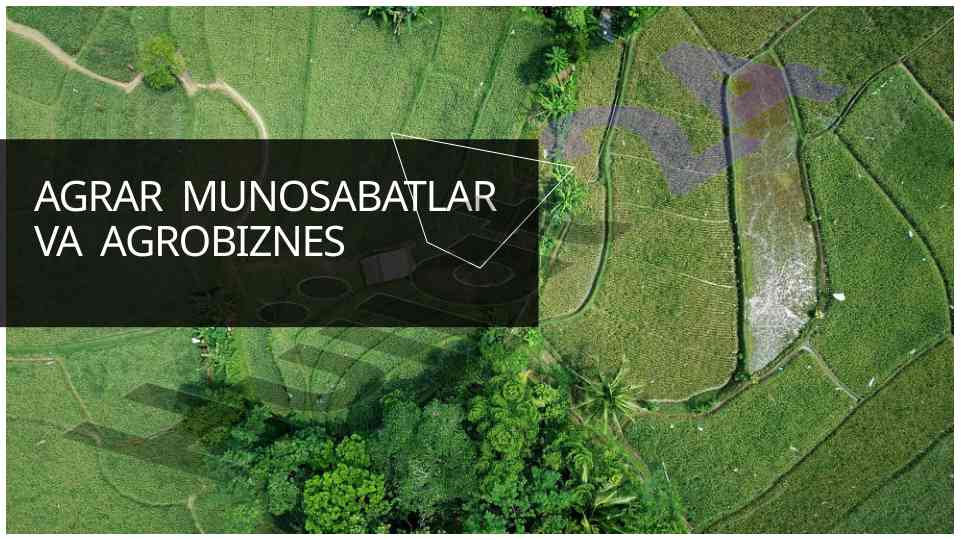 Agrar munosabatlar va agrobiznes reja