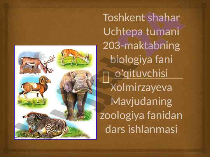 Baliqlarning nerv sistemasi va sezgi organalari