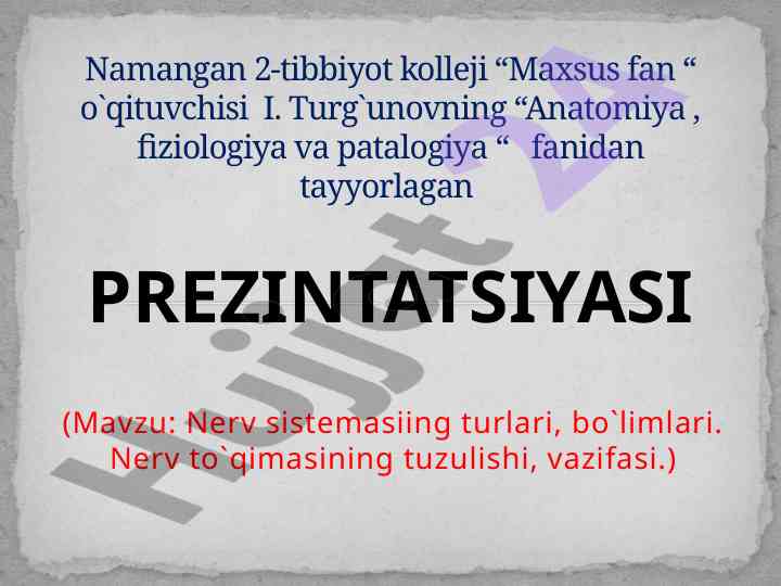 Nerv sistemasi turlari va bo'limlari