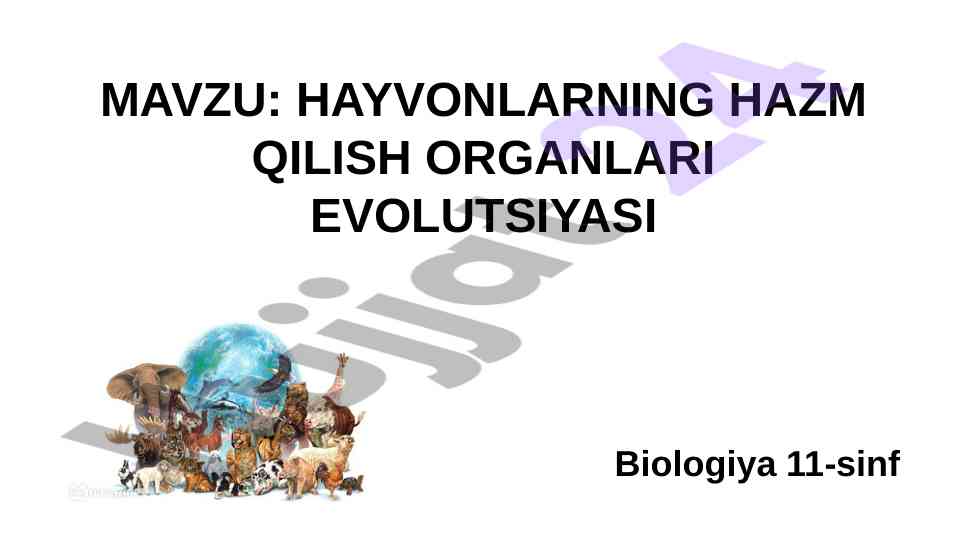Hayvonlarning hazm qilish organlari evolutsiyasi