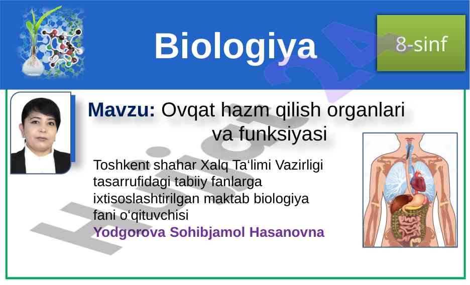 Ovqat hazm qilish organlari va funksiyasi