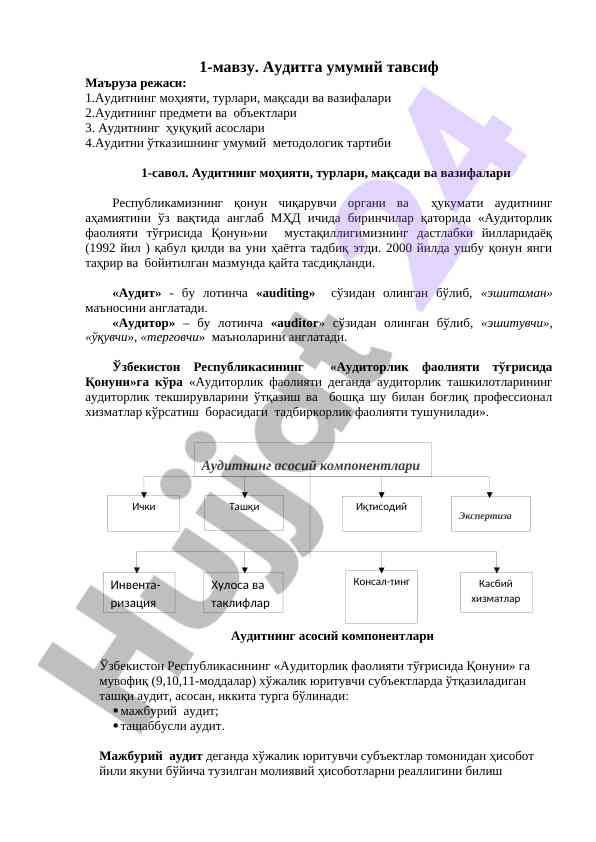 Auditing concept overview and methodological aspects