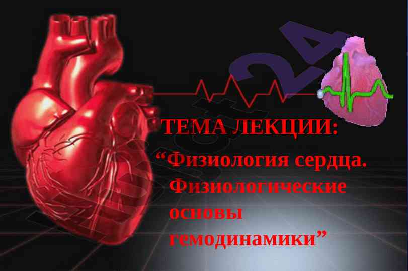 Физиология сердца и основы гемодинамики