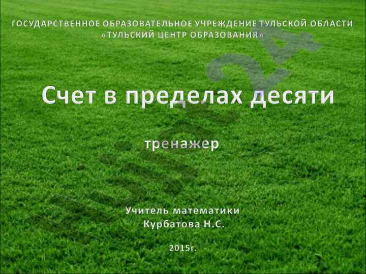 Сколько лап у паука и других животных