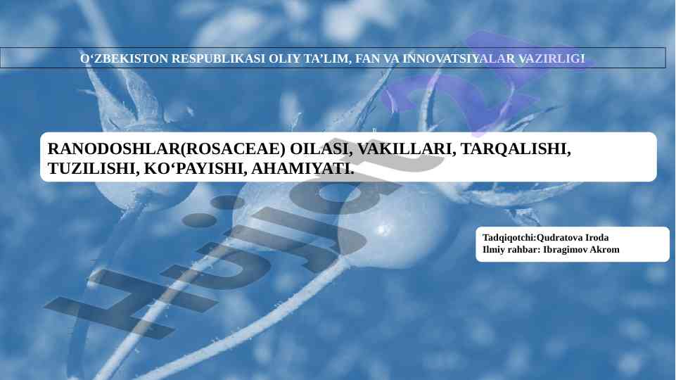 Ranodoshlar oilasi tashkiliy va ekologik muammolari