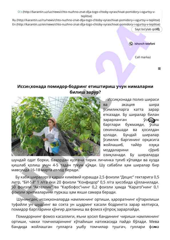 Isсиқхонада pomidor-bodring етиштириш бўйича тўлиқ маълубот