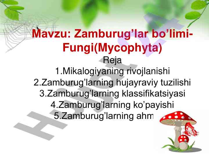 Zamburug'lar bo'limi- fungi (mycophyta) mavzusi