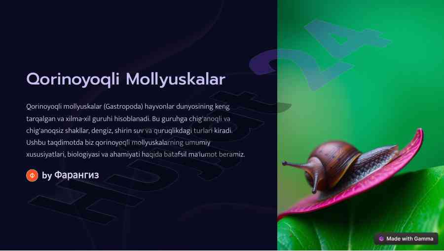 Qorinoyoqli mollyuskalar: umumiy xususiyatlar va biologiya