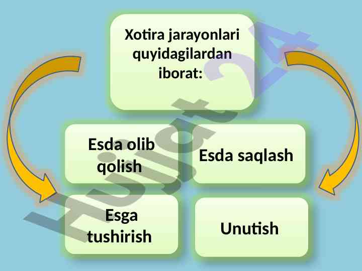 Xotira jarayonlari va nazariyalar tahlili