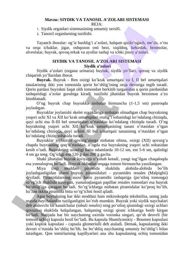 Siydik va tanosil a’zolari sistemasi tahlili