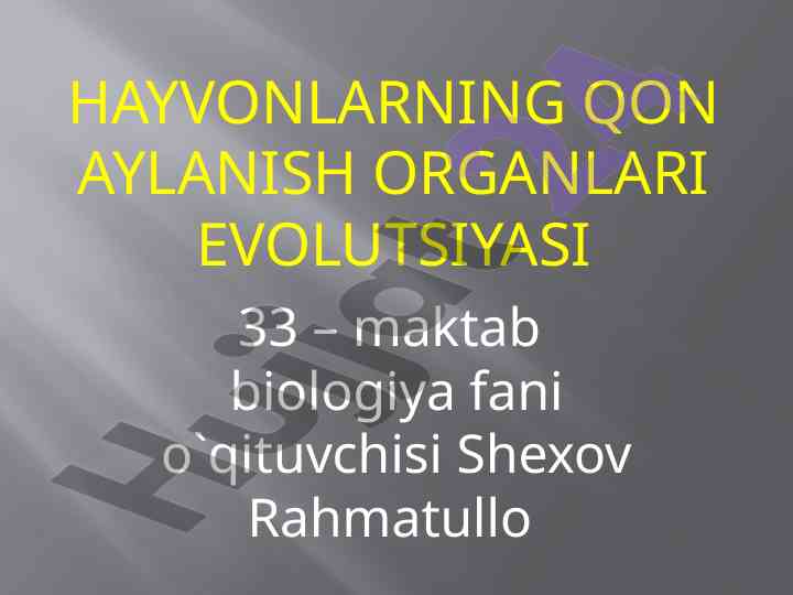 Hayvonlarning qon aylanish organlari evolutsiyasi