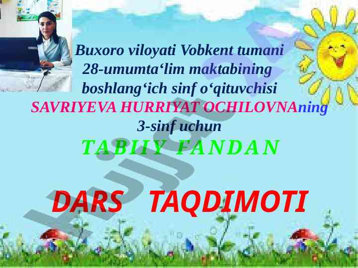 Foydali qazilmalar qanday hosil bo‘ladi