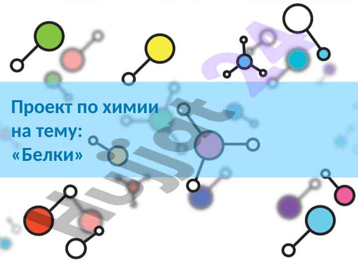 Белки: структура и функции в организмах