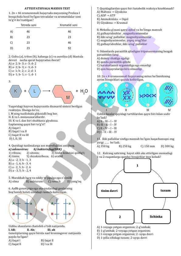 Attestatsiyaga maxsus test va savollar