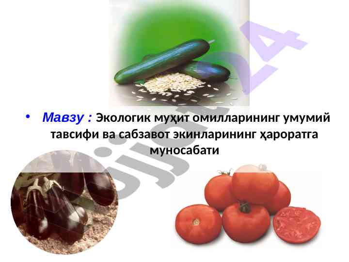 Экологик муҳит ва сабзавот экинлари муносабати