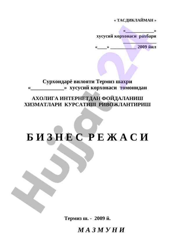 Internet foydalanish xizmatlari biznes rejasi