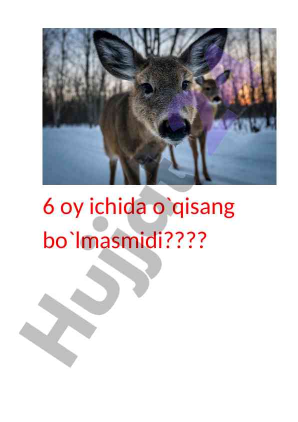 O‘qish aholisi uchun konsultatsiya