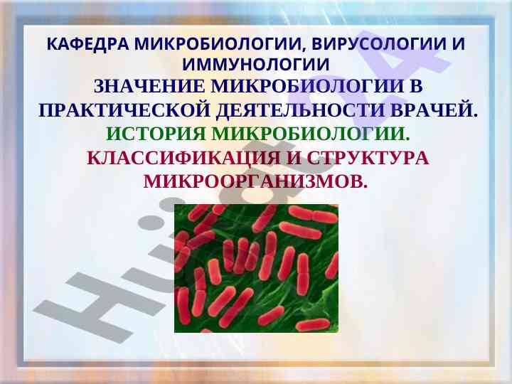 Значение микробиологии в практической деятельности врачей