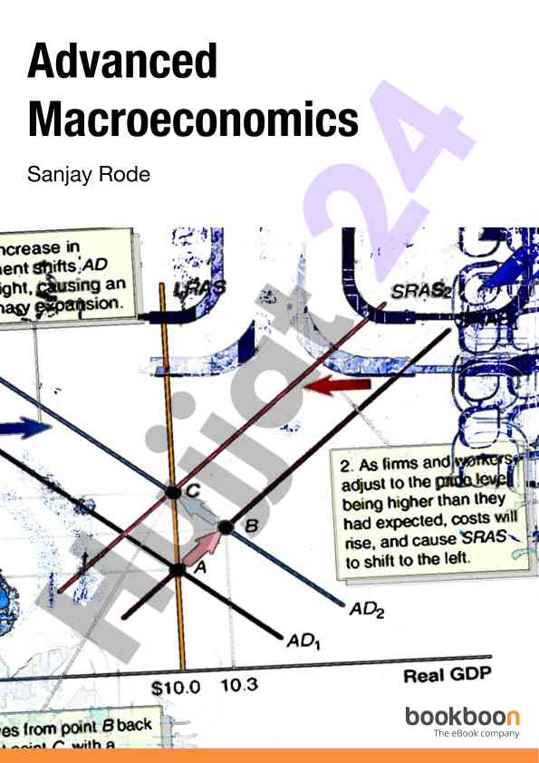 Advanced macroeconomics concepts and frameworks