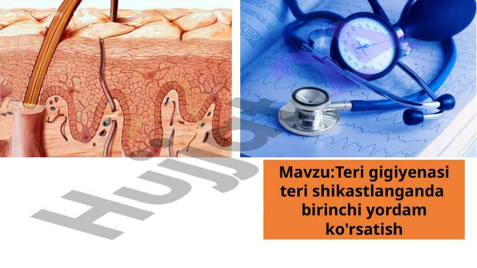 Teri gigiyenasi teri shikastlanganda birinchi yordam