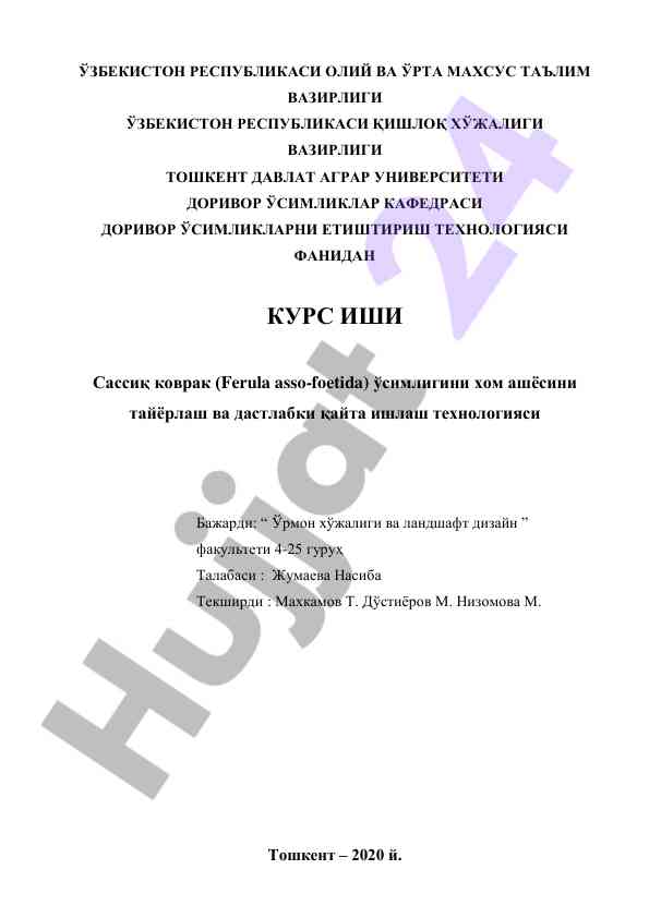 Sassiq kovrakni xom ashyosini tayyorlash