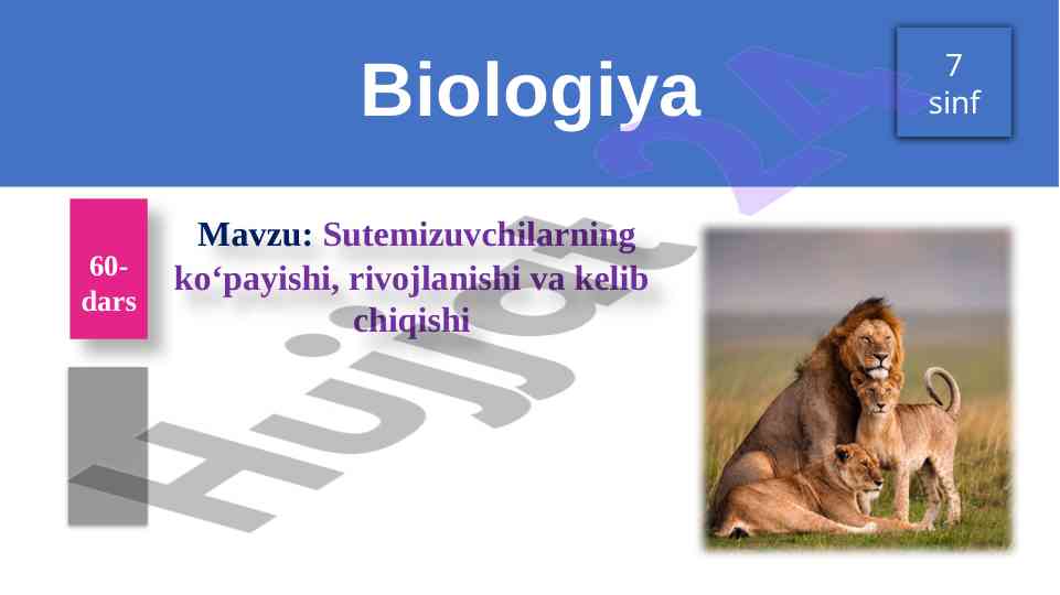Sutemizuvchilarning ko‘payishi va rivojlanishi