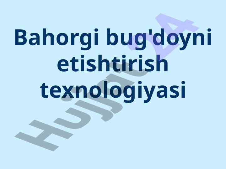 Bahorgi bug'doyni eўtishtirish texnologiyasi rejasi